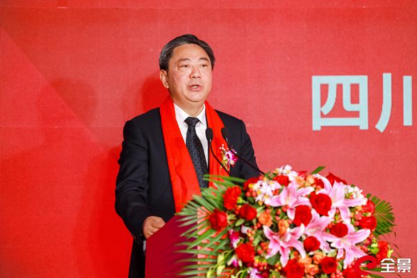 省自然资源厅党组成员、副厅长丁湘致辞_副本.jpg